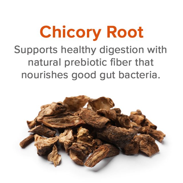 Chicory root — ingredient in VetSmart Formulas Critical Digestive Restore