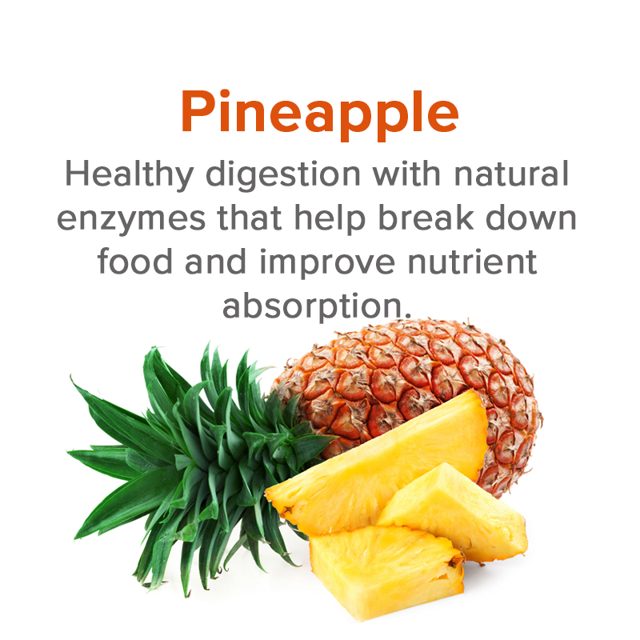Pineapple — ingredient in VetSmart Formulas Critical Digestive Restore