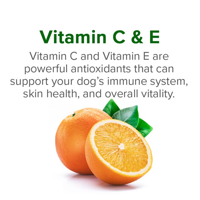 Vitamins C & E — ingredient in VetSmart Formulas Critical Joint Relief