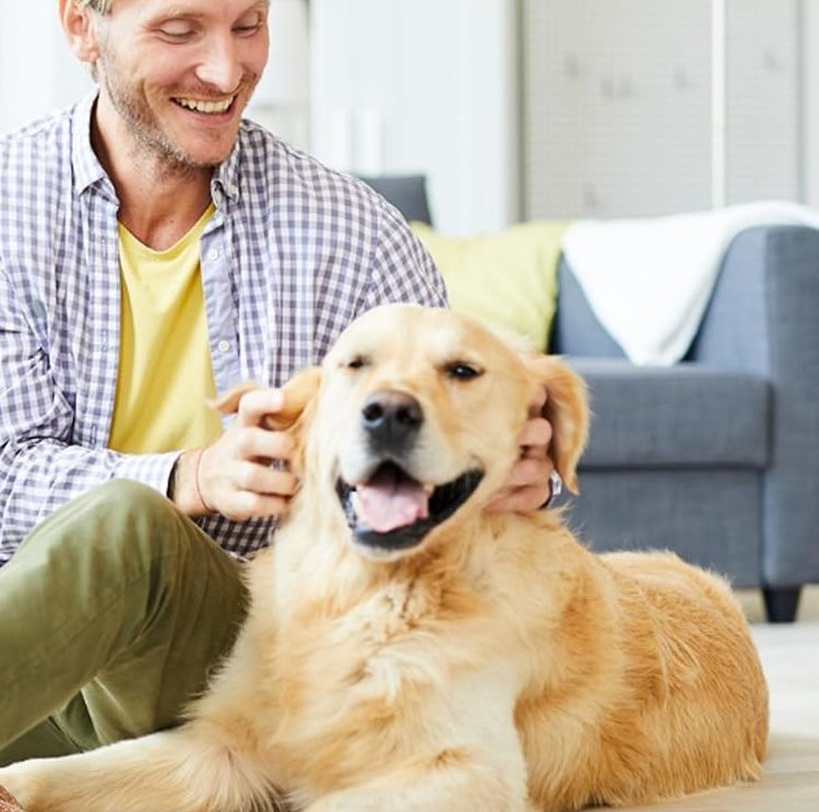 Man relaxing on the sofa with a golden retriever